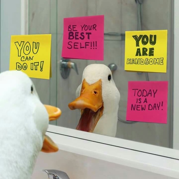 Meet your Posher, Kathy - Picture 1 of 1